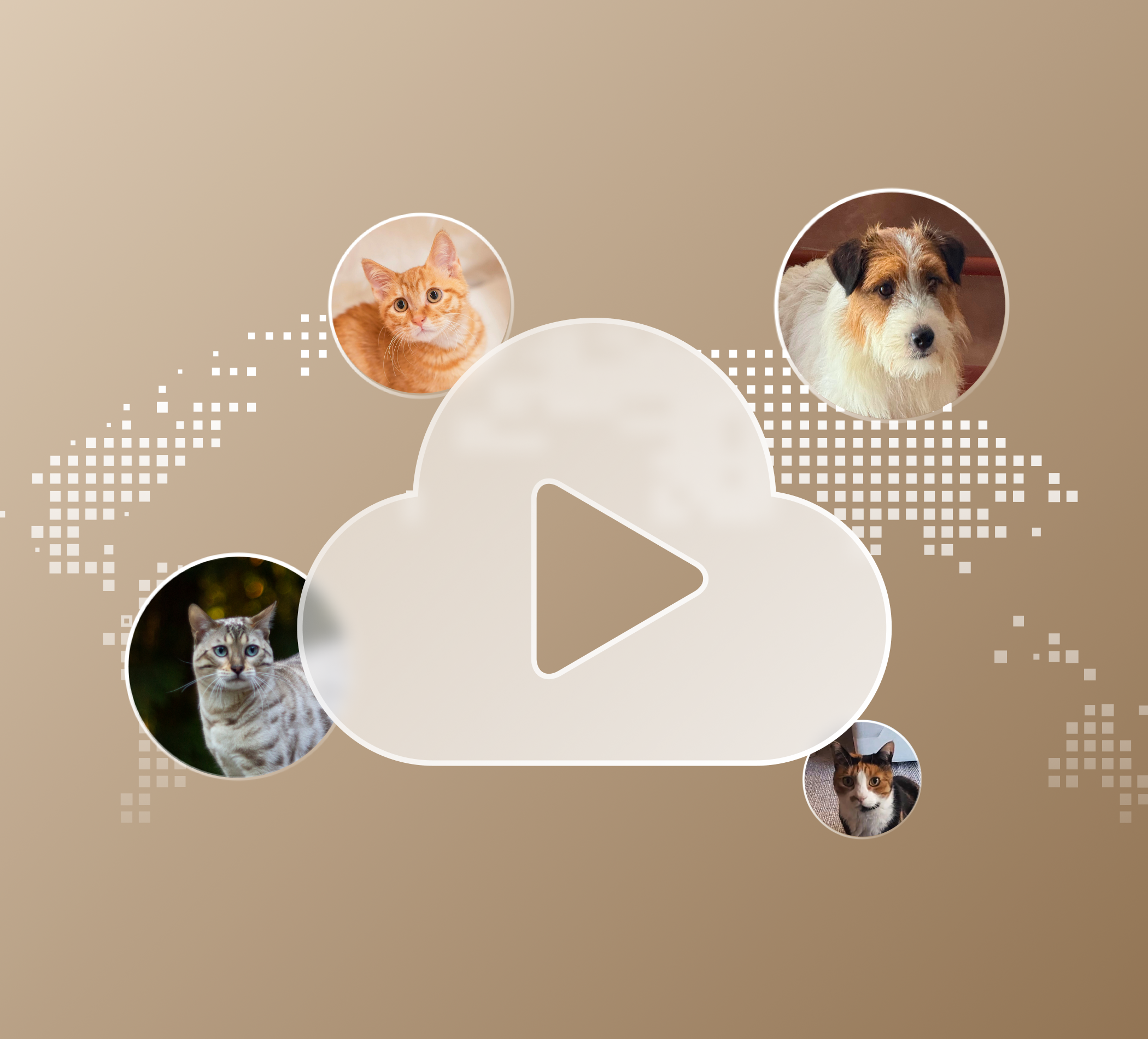 Petlibro graphic with cloud play icon and circular photos of cats and a dog on a beige pixelated world map background