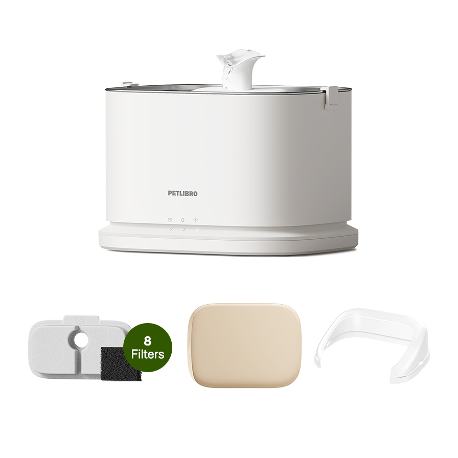 Dockstream 2 Starter Bundle