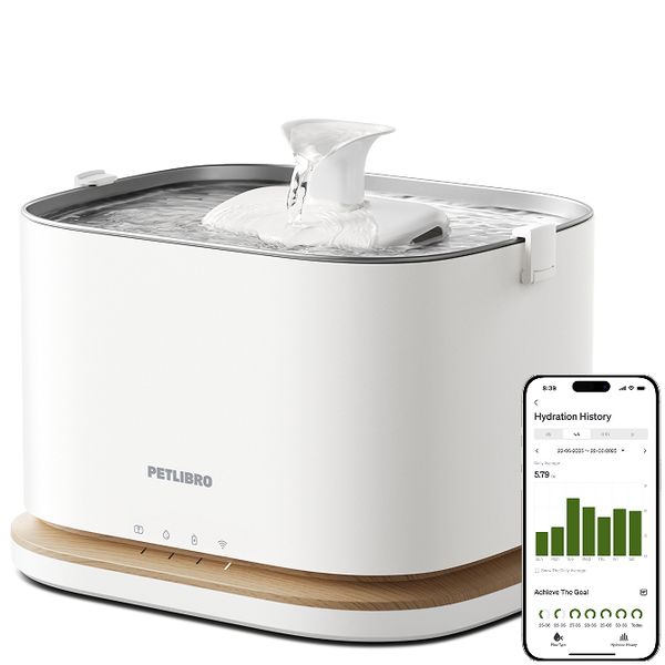 Petlibro Dockstream 2 Smart Fountain | Cat Water Fountain
