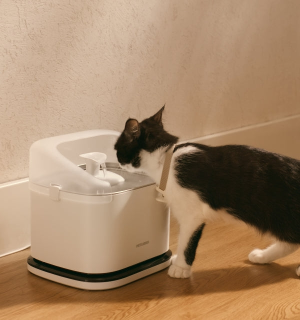 Dockstream RFID Cat Water Fountain for Multi-Cat Tracking | PETLIBRO