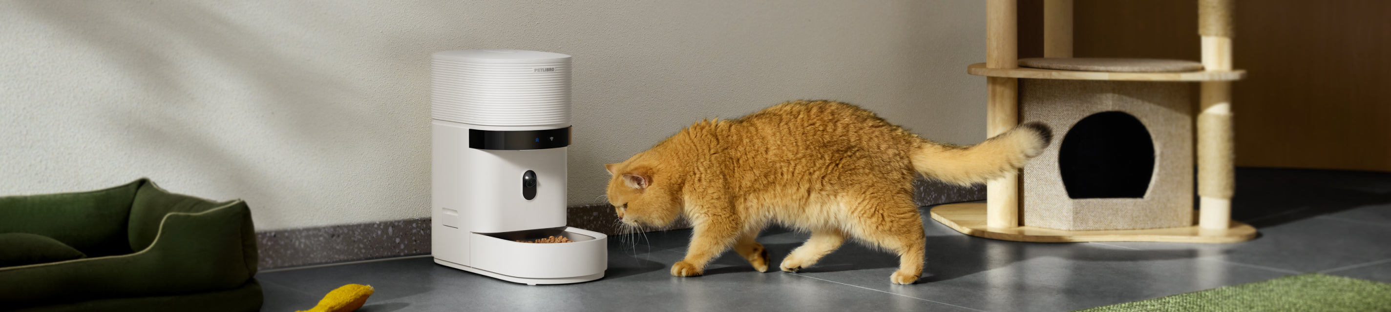 Petlibro smart cat feeder with camera for multiple cats, portion control bowl; orange cat eating by cat tree, reliable WiFi proof of feeding