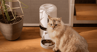 Granary Smart Camera Feeder & Fountain Bundle #2