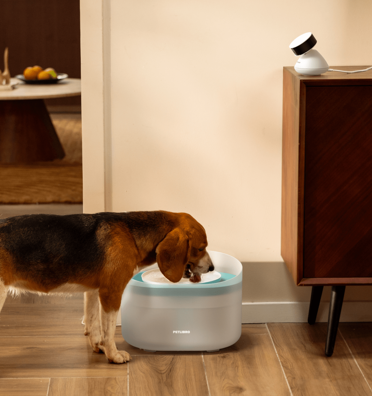 Camera Bundles - PETLIBRO