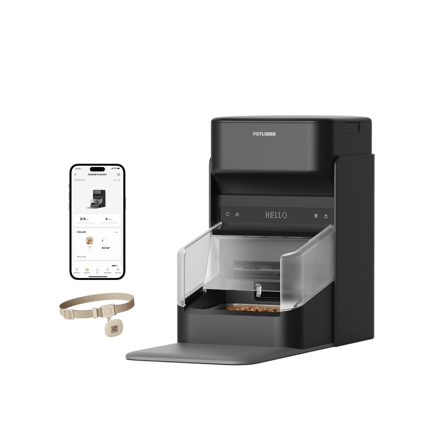 Petlibro smart automatic pet feeder in black with transparent food tray, mobile app, and beige pet collar with tracking tag
