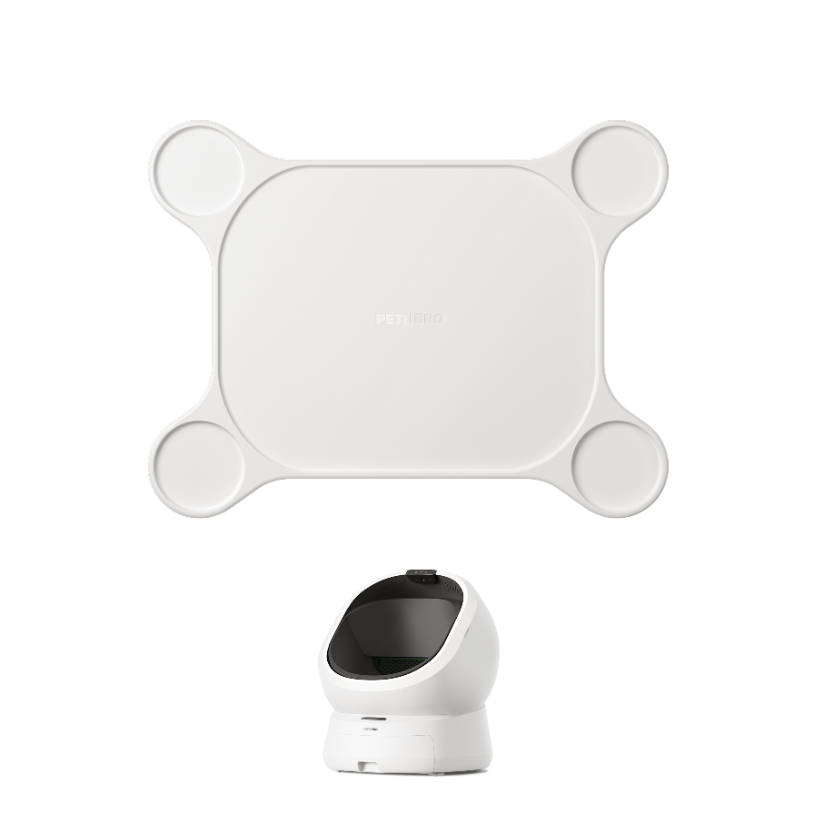Luma Carpet Stability Base