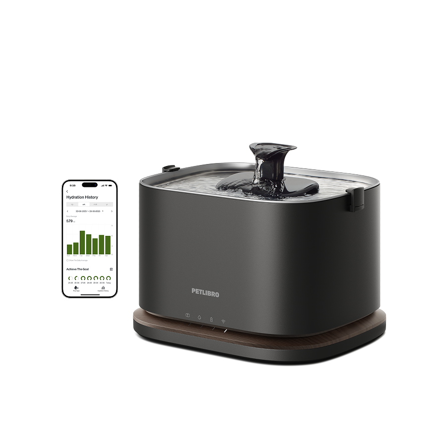 How to Choose & Install a Filter