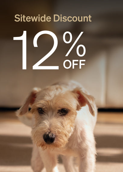 12% OFF