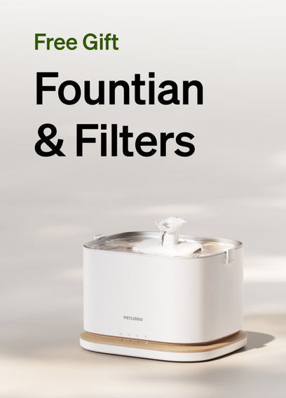 Free fountain