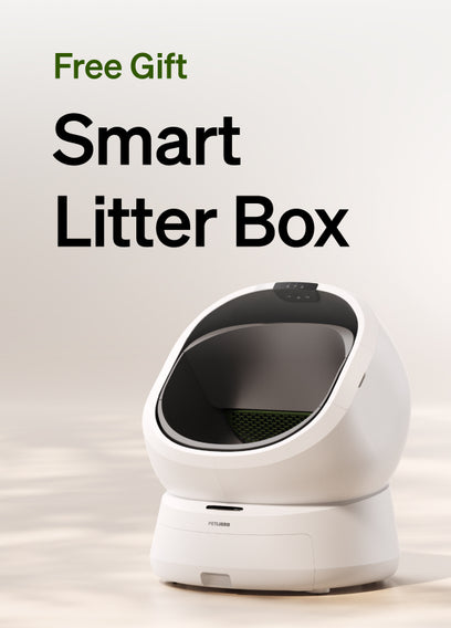 Free litter box