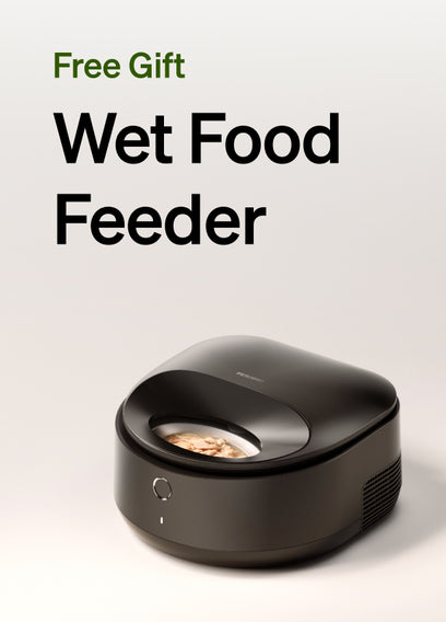 Free wet feeder