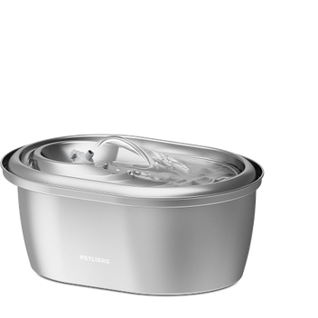 Petlibro Pet Water Fountains | A fresh take on pet hydration