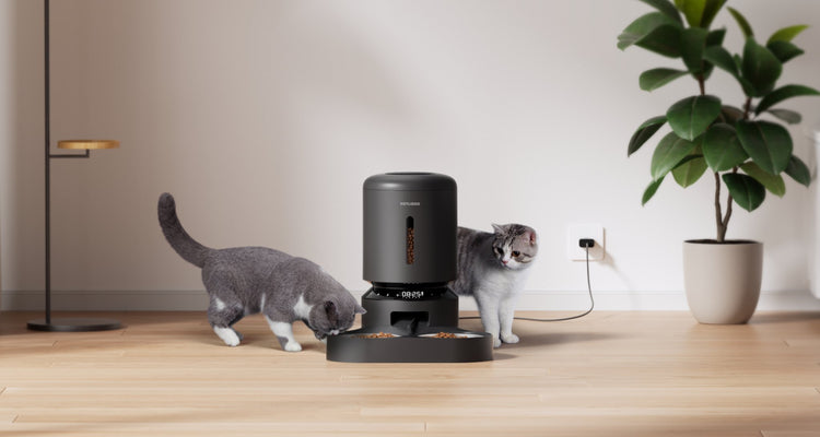 Granary Automatic Feeder Set - PETLIBRO