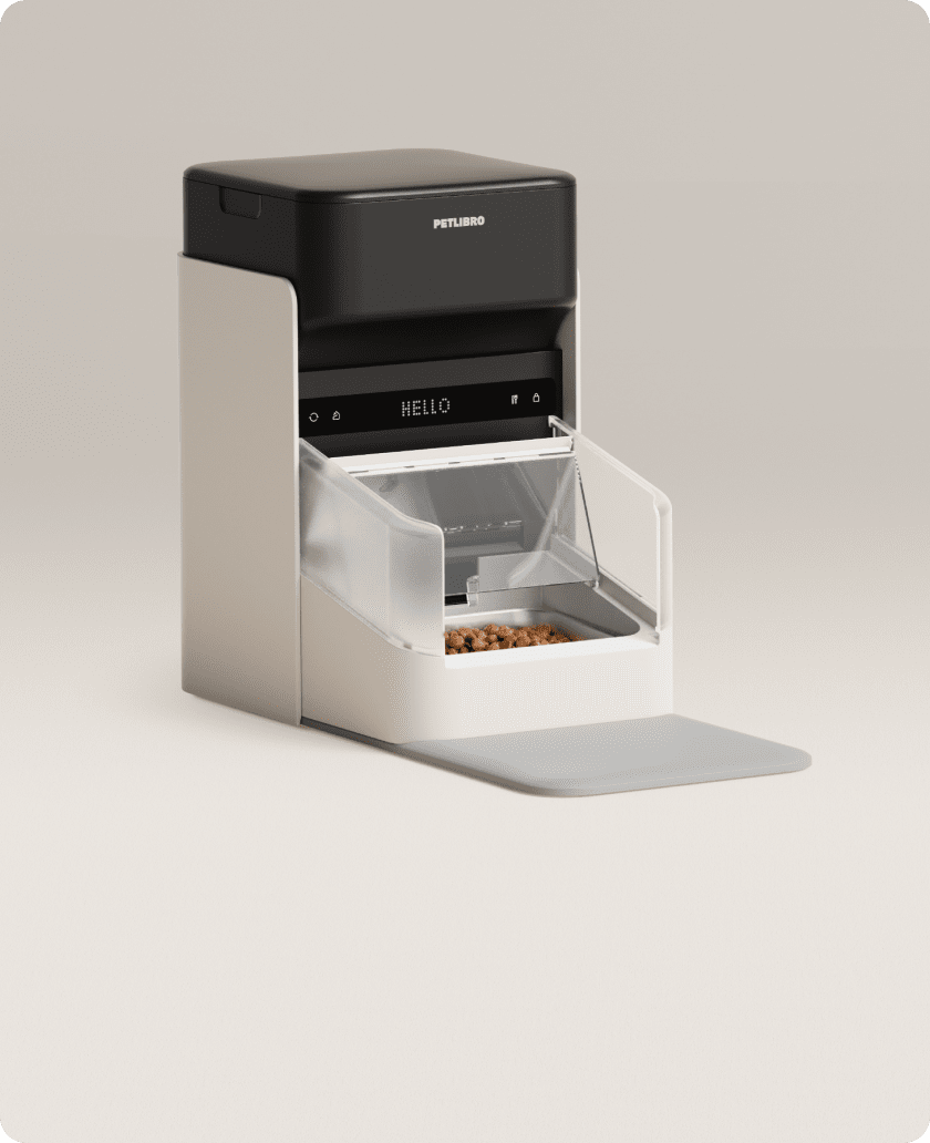 Petlibro automatic pet feeder with digital display