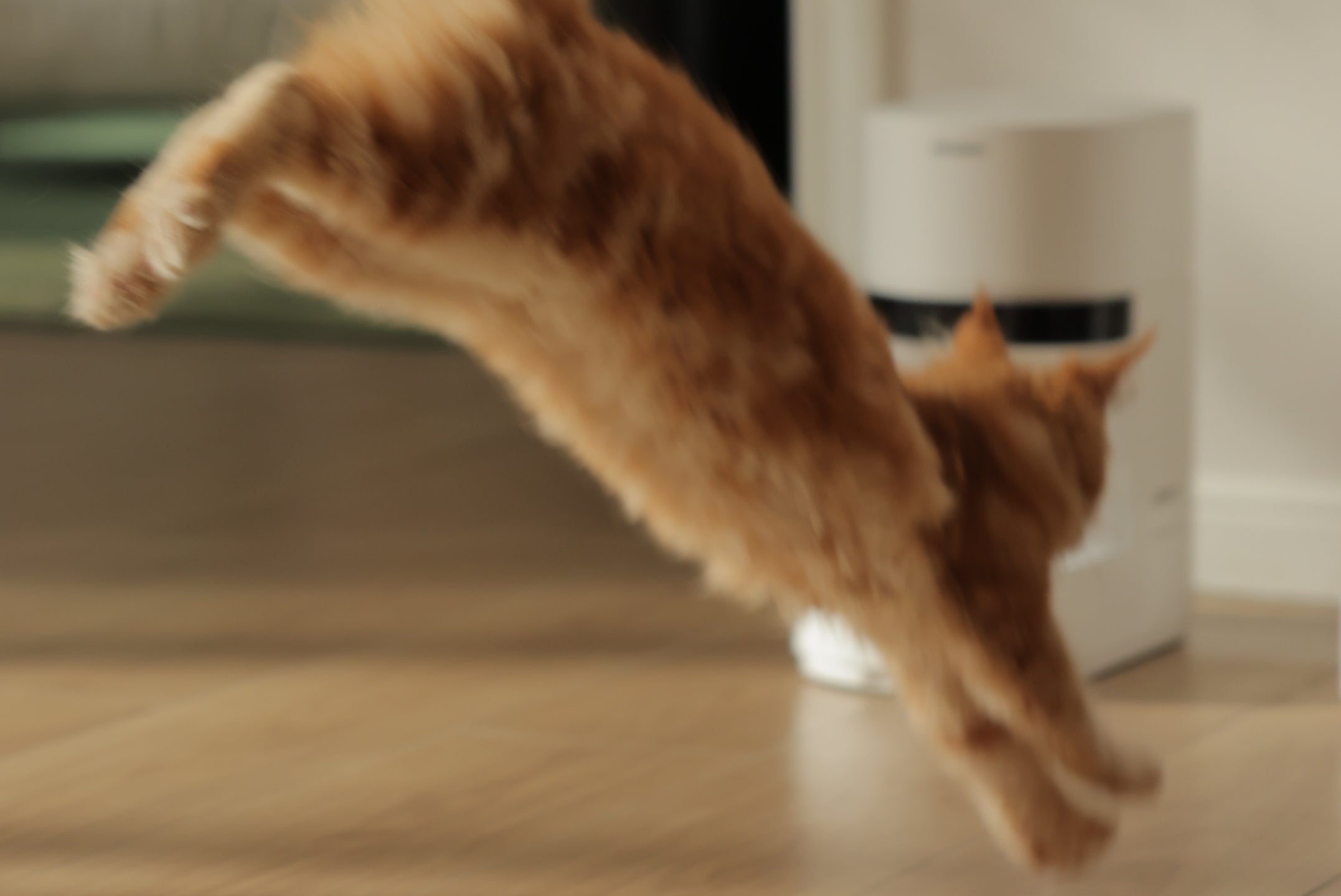 Automatic Pet Water Fountains - Petlibro