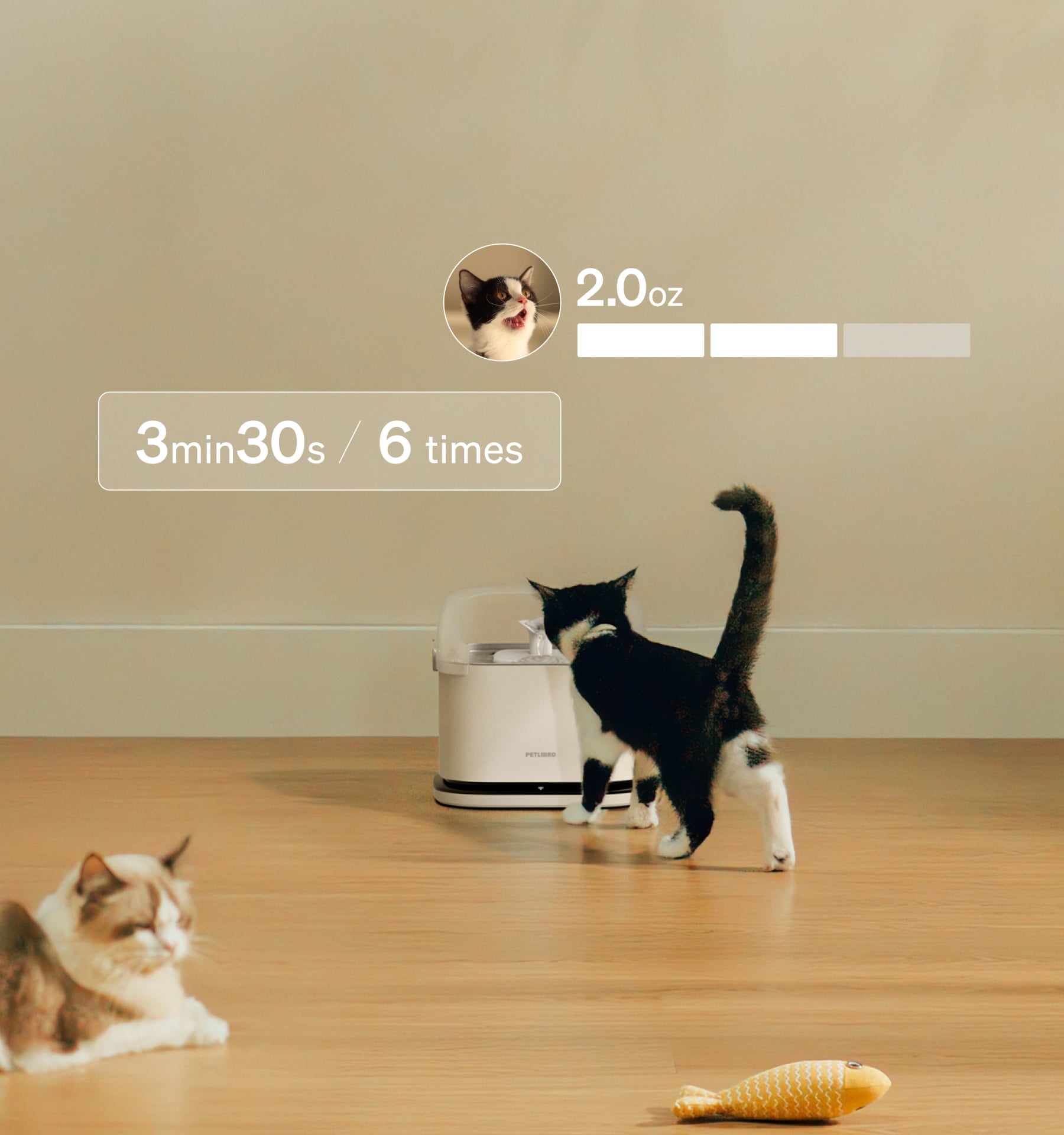 Polar Wet Food Feeder & RFID Smart Fountain Bundle