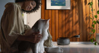 Polar Smart Wet Food Feeder For Pet