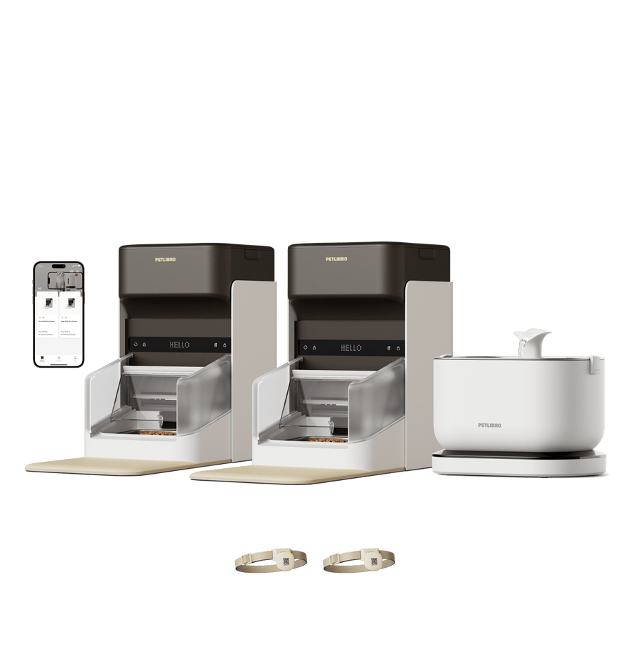 RFID Smart Feeder & Cordless Fountain Bundle - PETLIBRO