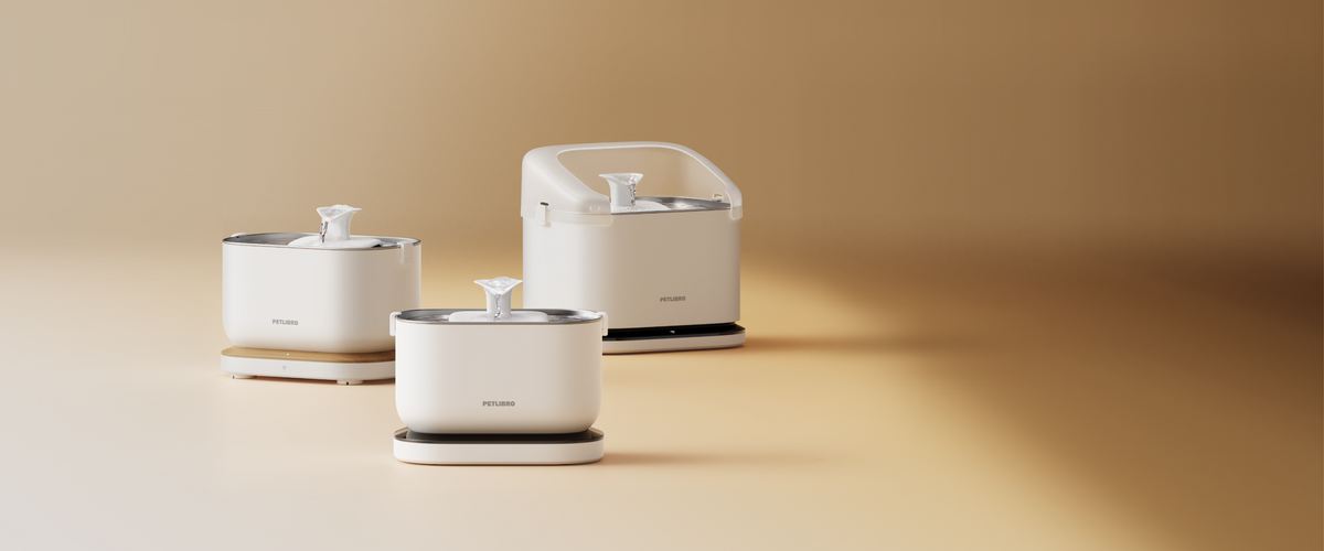 Petlibro Pet Water Fountains | A fresh take on pet hydration