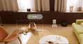 Video cloud AI - PETLIBRO