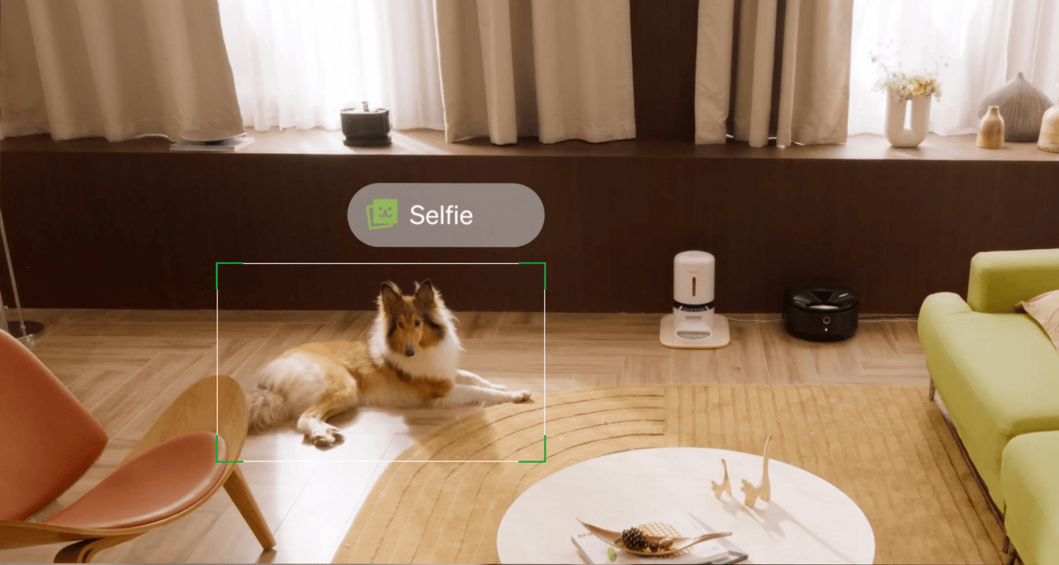 Video cloud AI
