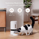 Camera Monitoring Feeder & Wireless Pump Fountain Kit - PETLIBRO