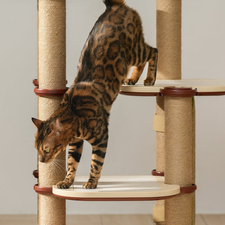 INFINITY Cat Tree Basic modules - PETLIBRO