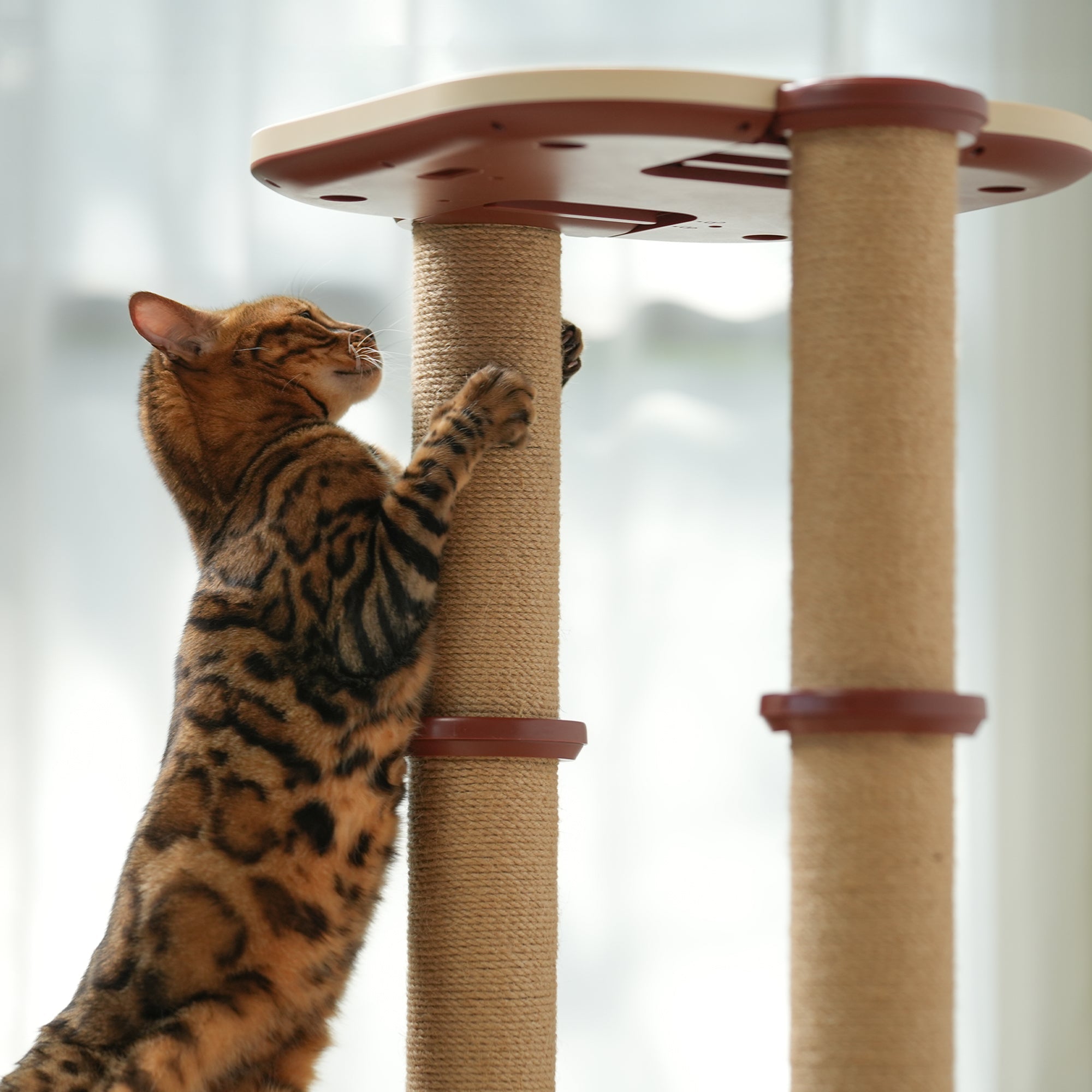 Cat tree post best sale