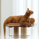 INFINITY Cat Tree Beds - PETLIBRO