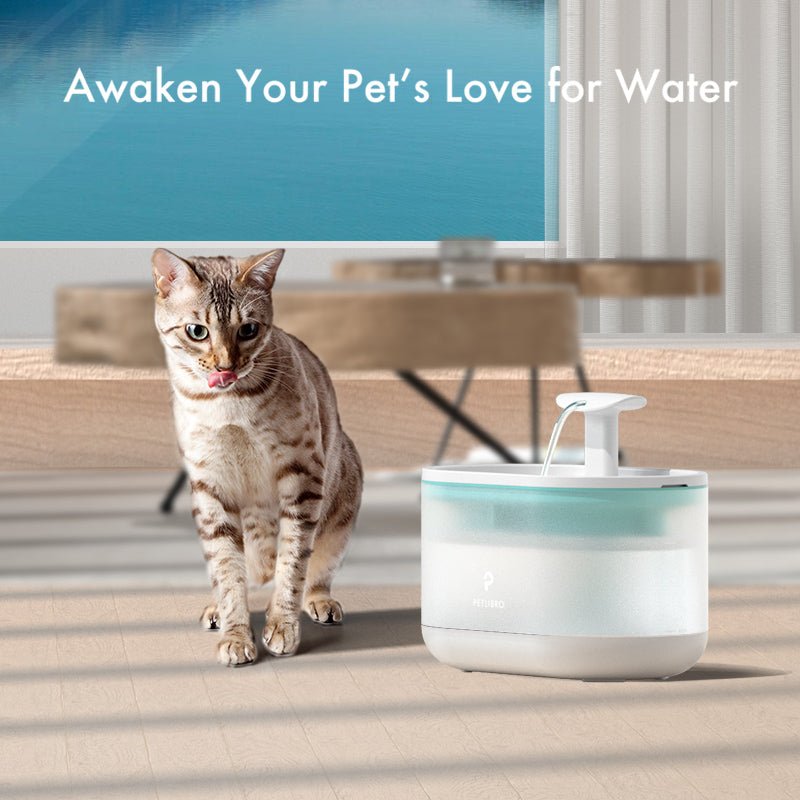 PETLIBRO Ultra Quiet Water Fountain For Cat & Dog Capsule