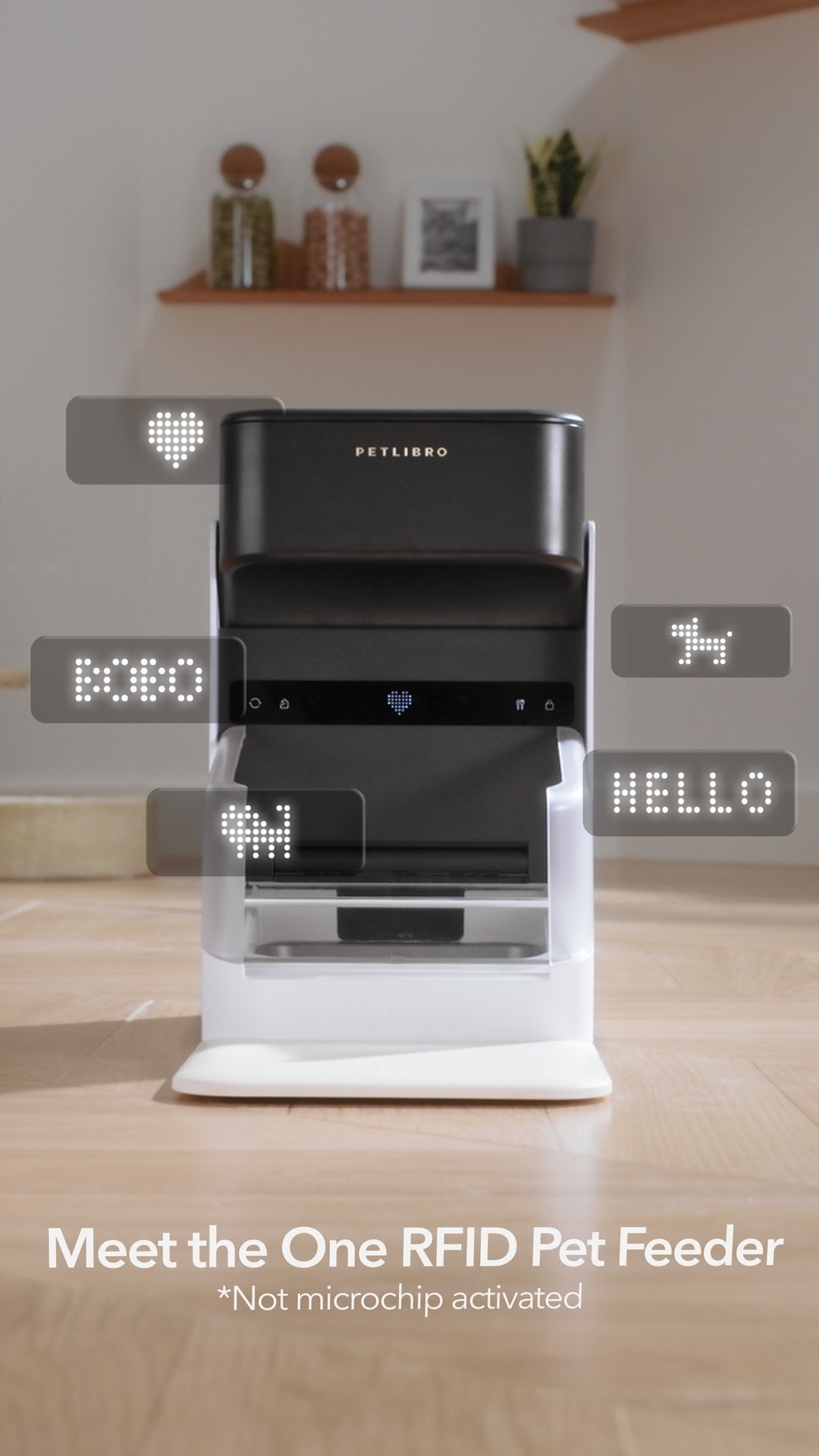 One RFID Pet Feeder PETLIBRO one-rfid-pet-feeder-petlibro