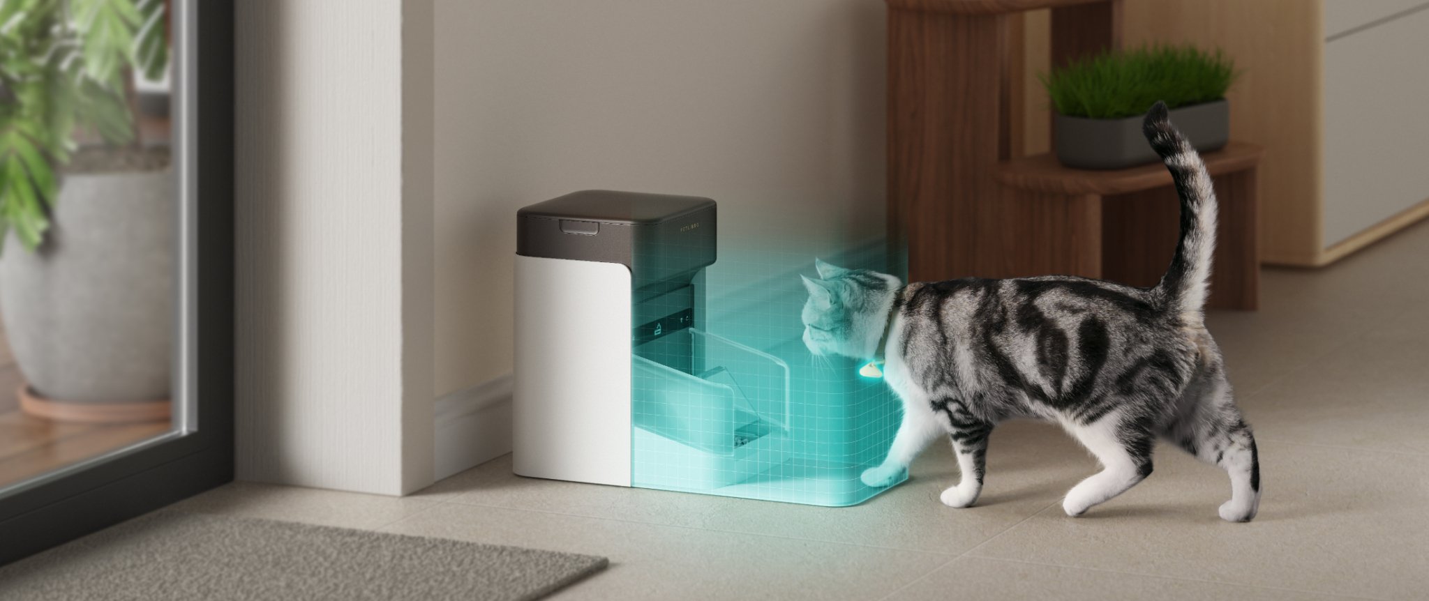 One RFID Pet Feeder PETLIBRO